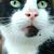 Mary Shope's profile image