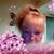 Joanne Kappus-Fargnoli's profile image
