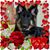 Arlette Prats's profile image