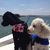 Paul Traill's profile image