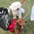 Dorothea Colangelo's profile image