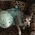 Kathleen Stafford's profile image