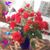 Mary Helen Miller's profile image
