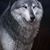 Tony Wergin's profile image