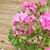 Kathy Smith's profile image