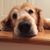 Ellen Gruter's profile image