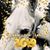 Michelle Hooper's profile image