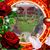 Lana Ledbetter's profile image