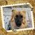 Angie Lemons-Pruett's profile image