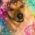 Katie Marker's profile image