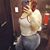 Misia Jerrymix Rodriguez's profile image