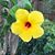 Jill Garfield Vernon's profile image