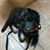Susan Ferry's profile image