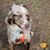 Jaynie Underwood's profile image