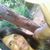 Patrícia Fraga's profile image