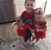 Susan Farris Lynn's profile image