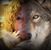 Jodi Zaske's profile image