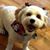 Kim Minnehan's profile image