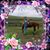 Willa Wilson's profile image