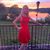 Colleen Neville Falo's profile image