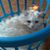 Tina Lyons's profile image