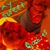 Sharon Satterfield's profile image