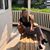 Ardin Hartz's profile image