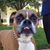 Christine Epple Gallucci's profile image