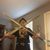 Dan Brown's profile image