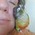 Melissa Raynes's profile image