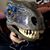 Susan Vivier's profile image