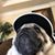 Roger Rabbitt's profile image