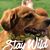 Carol Wettengel's profile image