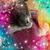 Melinda Ducey Sells's profile image