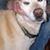 Dara Lehman's profile image