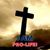 Beverly R. Allor's profile image