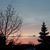 Noreen Allossery-Walsh's profile image