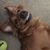 Sandy Nelson Canet's profile image