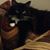 Terry Schilz's profile image