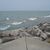 Kathleen Murtha's profile image