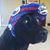 Jac McCracken's profile image