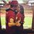 Jose Jr Rosado's profile image