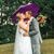 Misti Turnage Wood's profile image