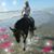 Kristie Marrs's profile image