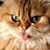 Ruby Tuesday's profile image
