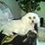 Elaine Hettinga's profile image