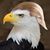 Paul Segura's profile image