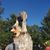 Laura Willis Schag's profile image
