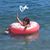 Diane Shiller's profile image