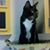 Pamela Hillis's profile image